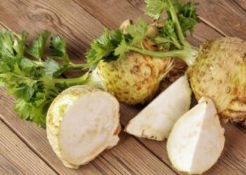 Kereviz ‘in Gizli Dünyası