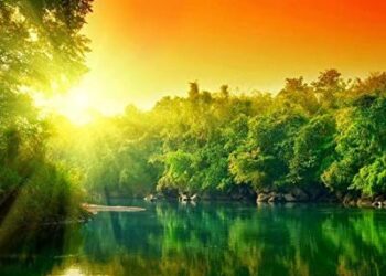 B Vitaminleri Eksiklikleri ve Tedavisi