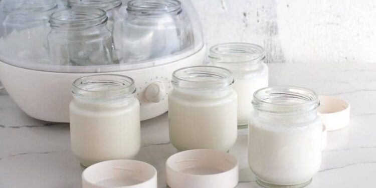 Ev Yoğurdu Gençlik İksiri mi ?