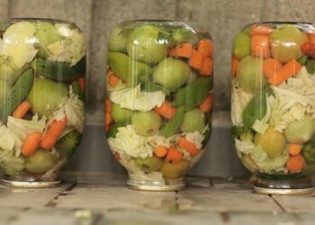 Turşunun Mutlulukla İlgisi