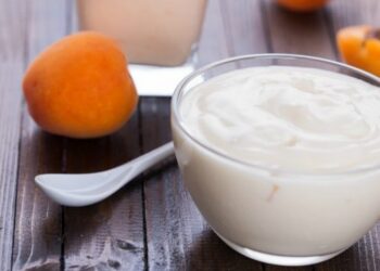 Yoğurt Nasıl Mayalanır ?