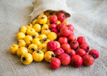 Alıç ve Faydaları