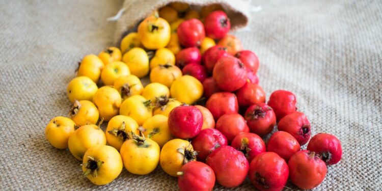 Alıç ve Faydaları