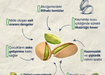 Antep Fıstığı ve Faydaları