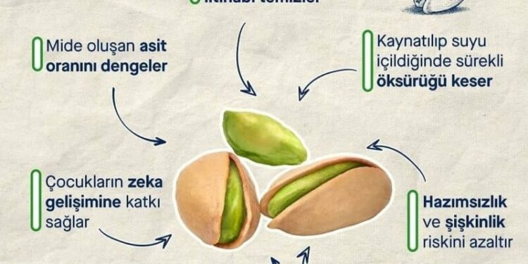 Antep Fıstığı ve Faydaları