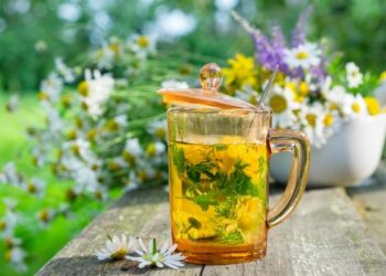 Bitki Çayları Çeşitleri ve Faydaları Nelerdir? Bitki Çayları Tarifleri