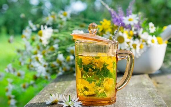 Bitki Çayları Çeşitleri ve Faydaları Nelerdir? Bitki Çayları Tarifleri
