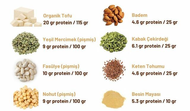 Bitkisel Protein Kaynakları Nelerdir? Beslenmemizdeki Rolü Nasıldır?
