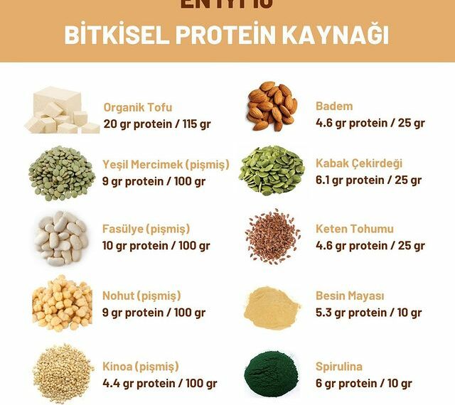 Bitkisel Protein Kaynakları Nelerdir? Beslenmemizdeki Rolü Nasıldır?