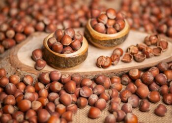 Fındık Dünyası ve Faydaları