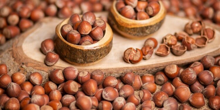 Fındık Dünyası ve Faydaları