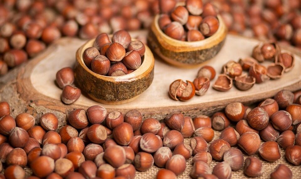 Fındık Dünyası ve Faydaları