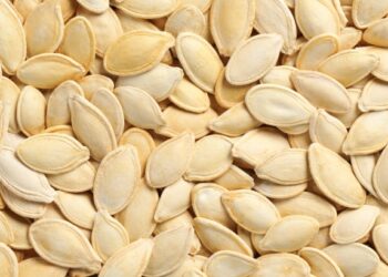 Kabak Çekirdeği ve Faydaları