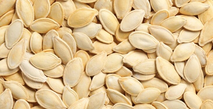 Kabak Çekirdeği ve Faydaları