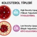 Kolesterol Nedir? Ve Yüksek Kolesterolde Nasıl Beslenilmelidir?