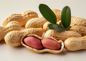 Yer Fıstığı ve Faydaları