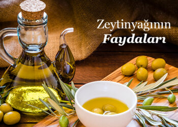 Zeytinyağı ve Faydaları